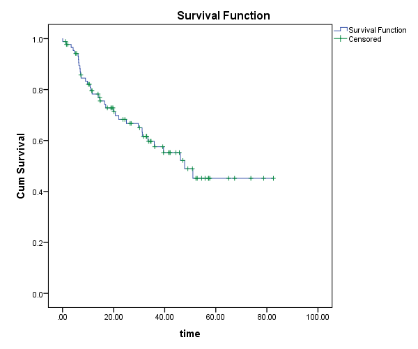 Kaplan Meier in SPSS