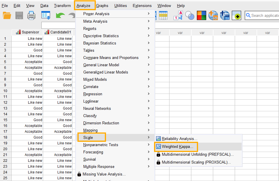 Weighted Kappa in SPSS