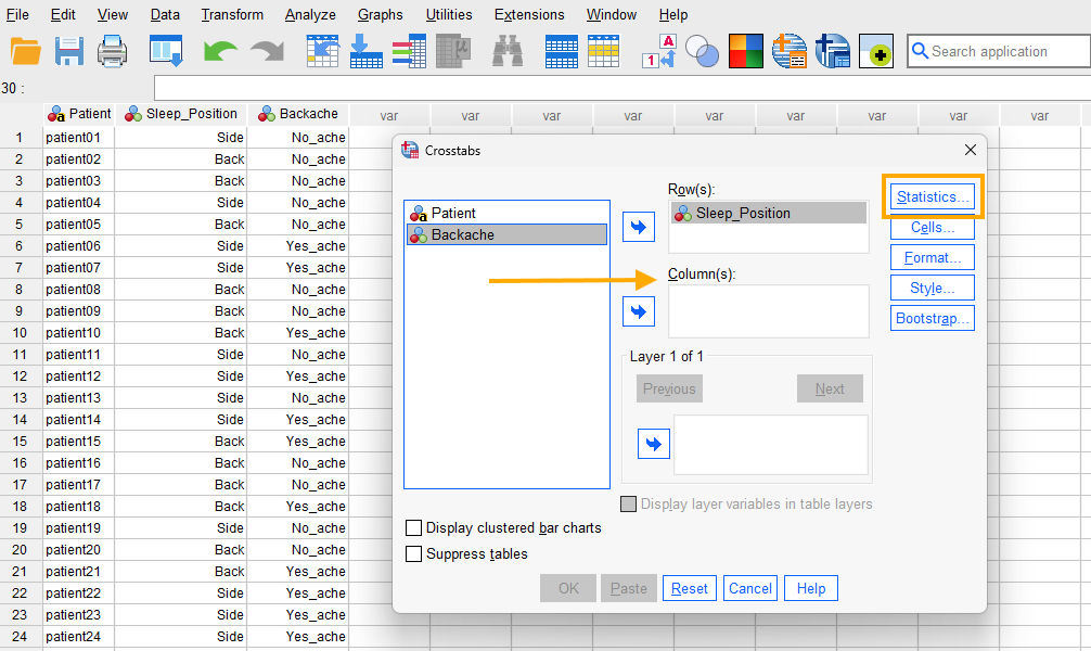 Chi-squared test in SPSS