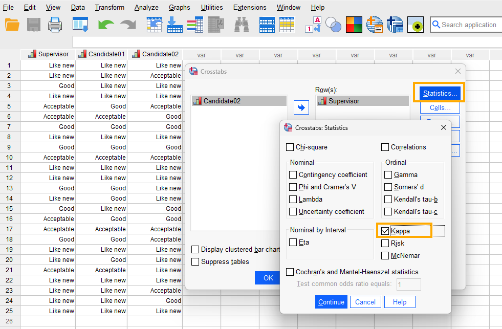 Unweighted Kappa SPSS